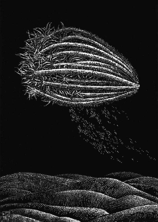 Hortus Conclusus XIV